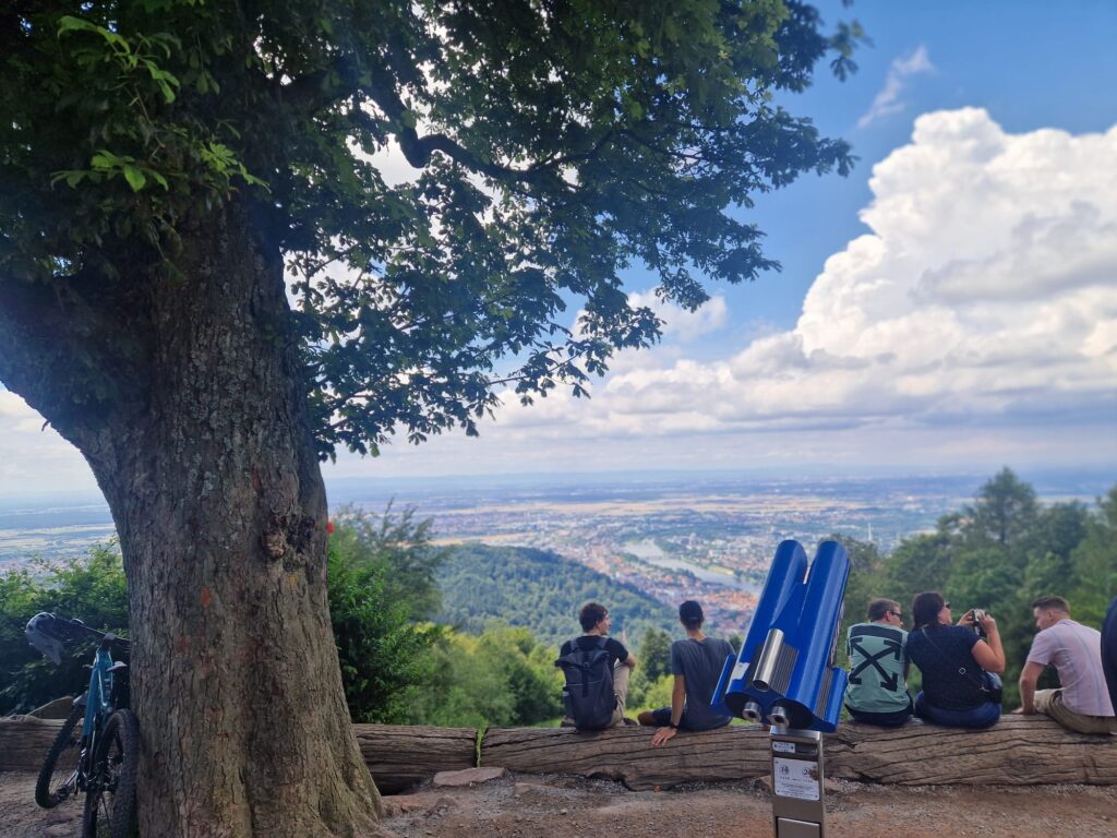 Blick auf Heidelberg